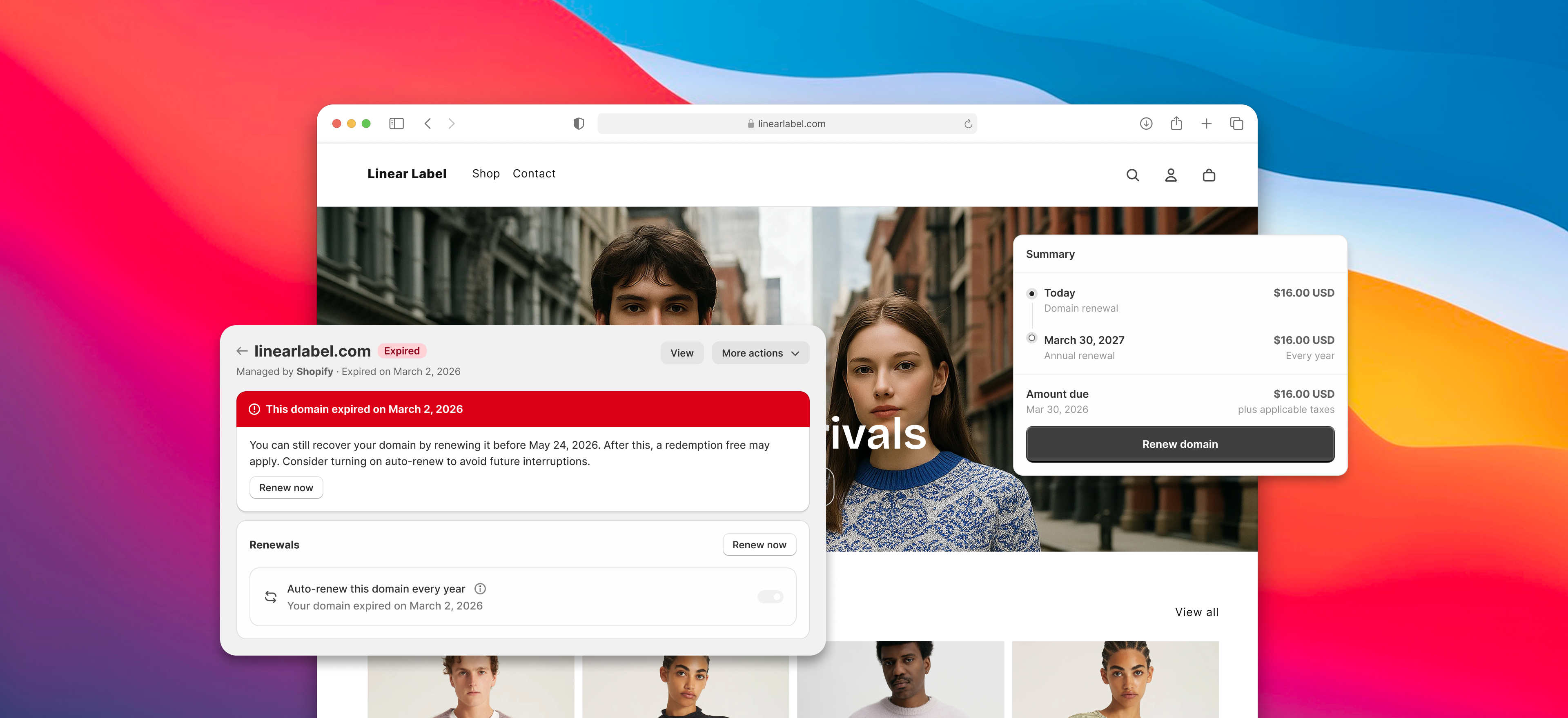 Shopify domain management UI showing renewal status and self-serve renewal flow